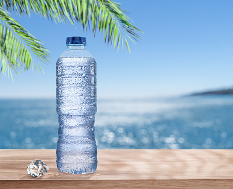 Plastic bottle of chilled water with condensation drops under the palm leaf. Sparkling sea at the background.