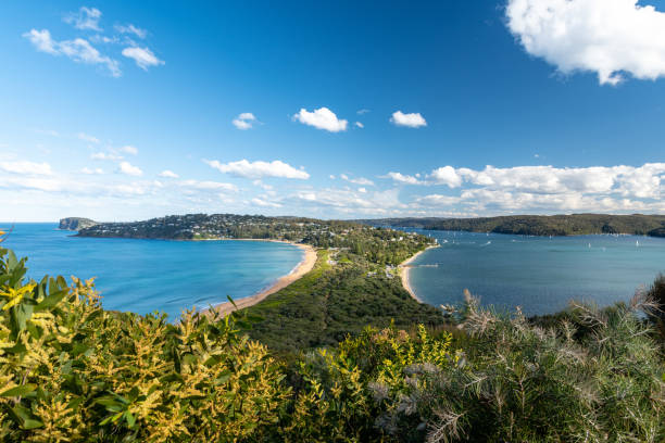 istock Palm beach Australia 1413585824