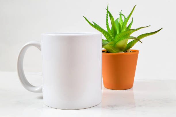 11 oz. Coffee Mug Mockup with Aloe Vera Plant