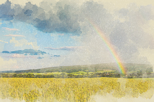 view of wheat field and village with rainbow in watercolor style