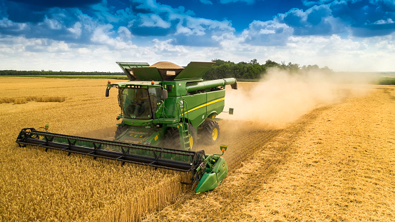 Ukraine, Kyiv region, August 1, 2022, harvesting wheat in the fields of Ukraine, Traktro rides across the field and harvests, shooting from a drone