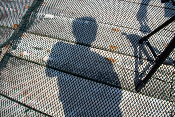 The shadow of a man on the plank floor