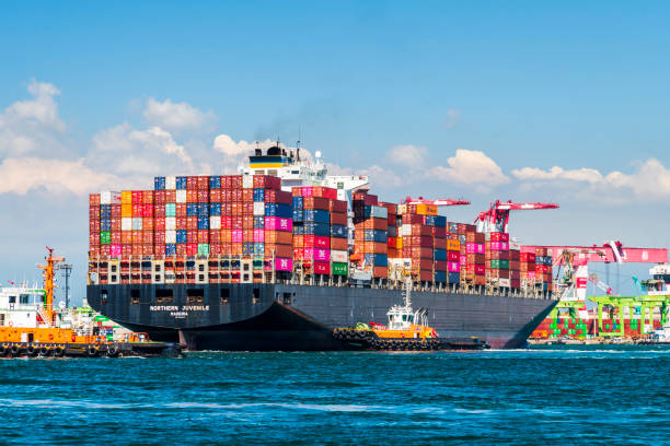 primo piano della nave portacontainer nel porto di kaohsiung, taiwan. - passenger ship ferry crane harbor foto e immagini stock