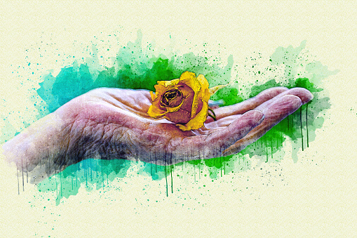 close-up of an old hand holding a yellow rose in watercolor style