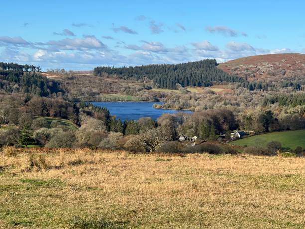 istock Lake on the Moor 1413589027