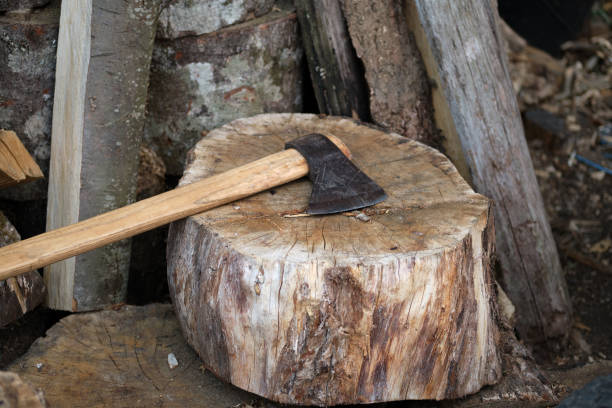 istock Close-up of a splitting axe and a cutting log. 1413589885