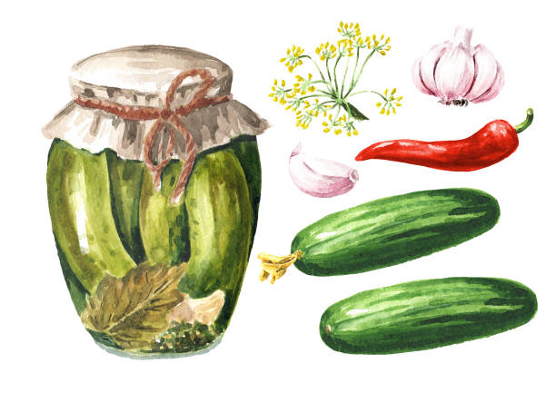 dosengurken, aquarell handgezeichnete illustration, isoliert auf weißem hintergrund - preserves pickle jar relish stock-grafiken, -clipart, -cartoons und -symbole