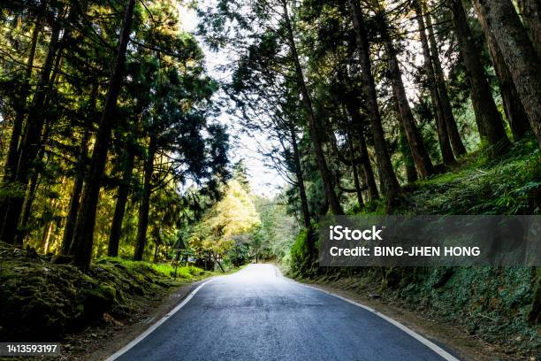 Beautiful Green Forest In The Mountains Stock Photo - Download Image Now - Alishan National Scenic Area, Asphalt, Beauty