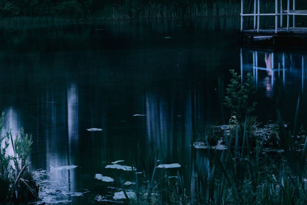 Dark night lake. Blue smooth surface of river water. Mystical atmosphere. Forest and person are reflected in the water