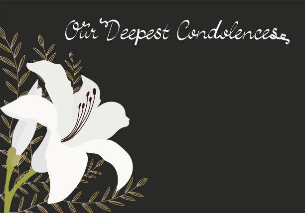 Our Deepest Condolences card Sympathy card with white lily flower on black background white stargazer stock illustrations