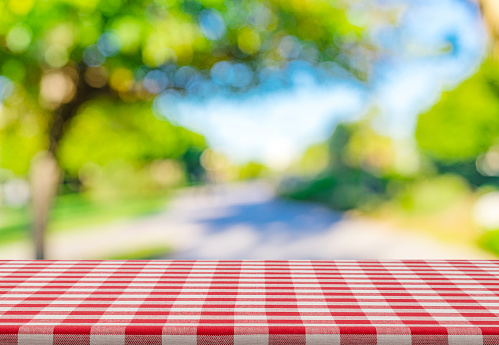 Empty picnic table with defocused green lush foliage at background. Ideal for product display on top of the table. Predominant color are red and brown. High resolution 42Mp outdoors digital capture taken with SONY A7rII and Zeiss Batis 25mm F2.0 lens