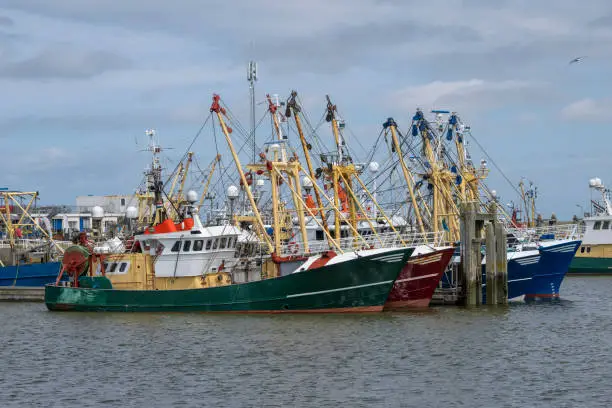 Fishing boats at anchor in a Dutch port due to high oil prices