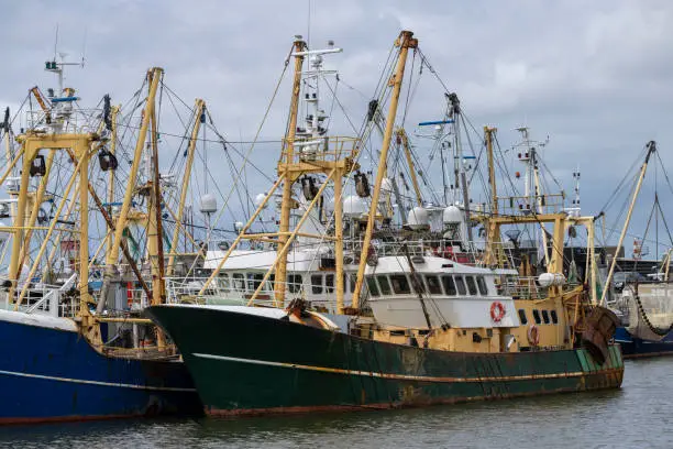 Fishing boats at anchor in a Dutch port due to high oil prices