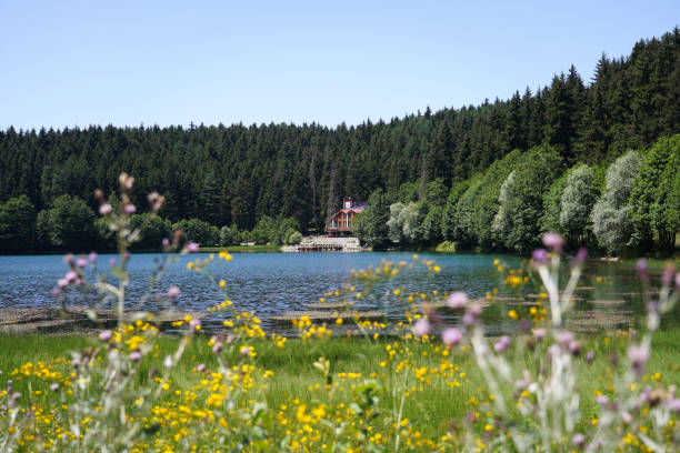 istock Artvin Savsat Karagol, Black Lake, Turkey 1413599587