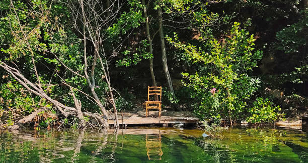 istock wooden chair in nature 1413600351