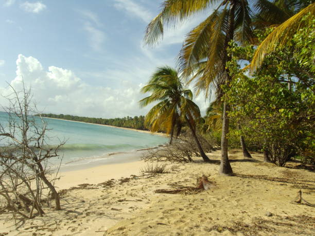 istock martinique caribbean island 1413600593