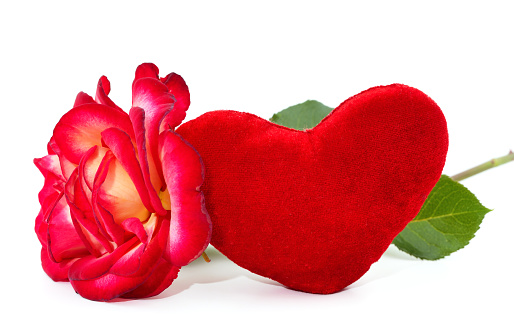 Beautiful red rosewith a toy heart isolated on a white background.