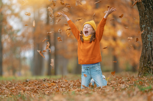 Happy child on autumn walk! Kid walking in the Park and enjoying the beautiful nature.