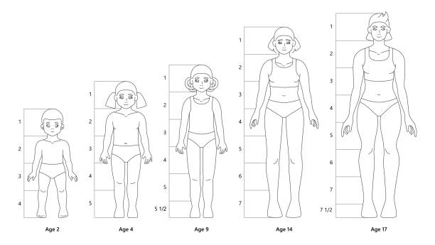 illustrations, cliparts, dessins animés et icônes de modèle de figures de corps de fille pour les croquis de mode - little girls only child babies and children people