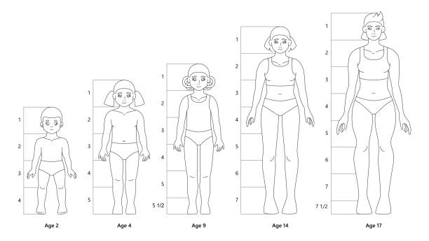 illustrazioni stock, clip art, cartoni animati e icone di tendenza di modello di figure del corpo della ragazza per schizzi di moda - aging process silhouette child women