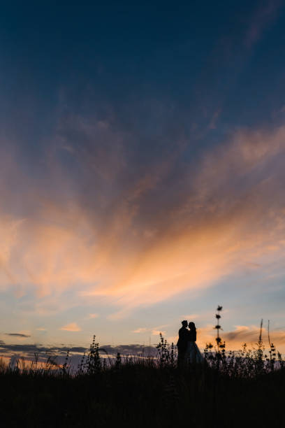 Free Stock Photo of Bride and Groom Standing in Field at Sunset ...