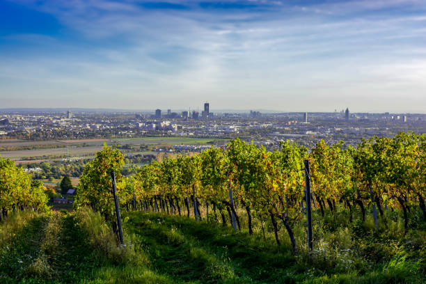 Skyline Of The City Vienna In Austria With Green Hills And Vineyards stock photo