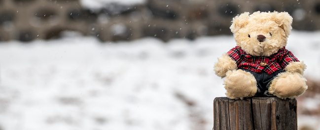 Alone cute teddy bear sitting on wood and snow is falling
