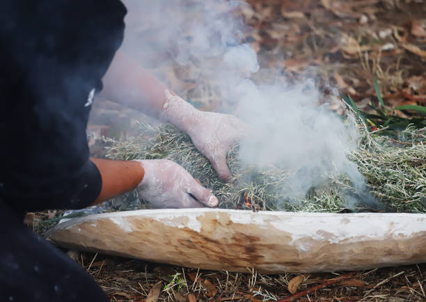 istock Human hands with green branches of eucalyptus, the fire ritual rite at an indigenous community event in Australia 1413612028