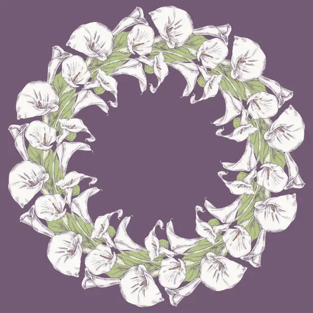 Vector illustration of Decorative floral wreath from silhouettes white calla lilies
