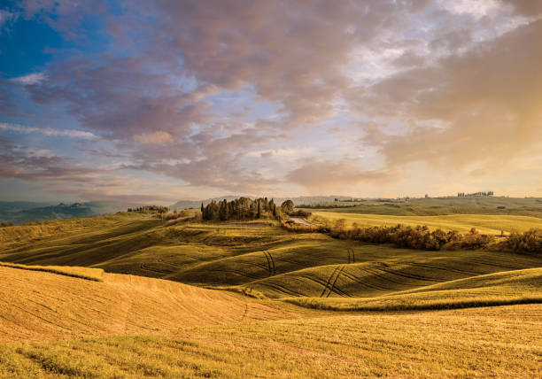istock Sunny landscape from Val d'Orcia, Tuscany, Italy 1413614454