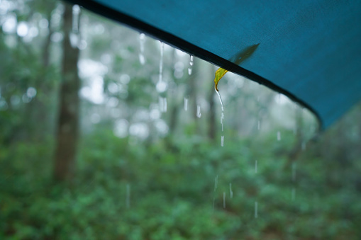 Rain drops on camping canvas in nature