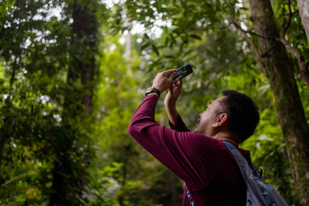 istock Asian man hiker take a picture using smartphone in a rainforest 1413618684