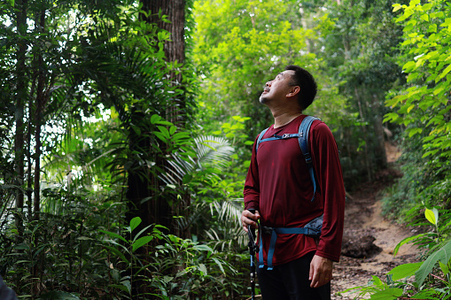 Hiker enjoying and walking in the deep forest of Malaysia