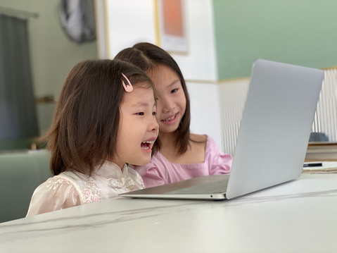 Two little asian girls using internet