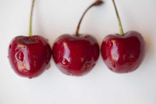 big black cherries called Duroni typical from Vignola italy white background