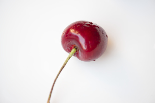 Macro takes a picture of an American cherry.