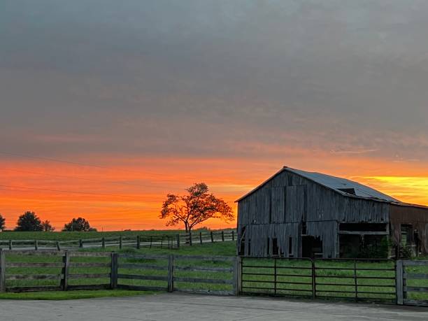 istock Country Summer 1413628950