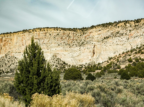Desert valley and cliffs. Escalante Staircase National Monument, Utah.