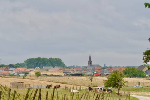 ベルギーのウィドイエ村 - flanders ストックフォトと画像