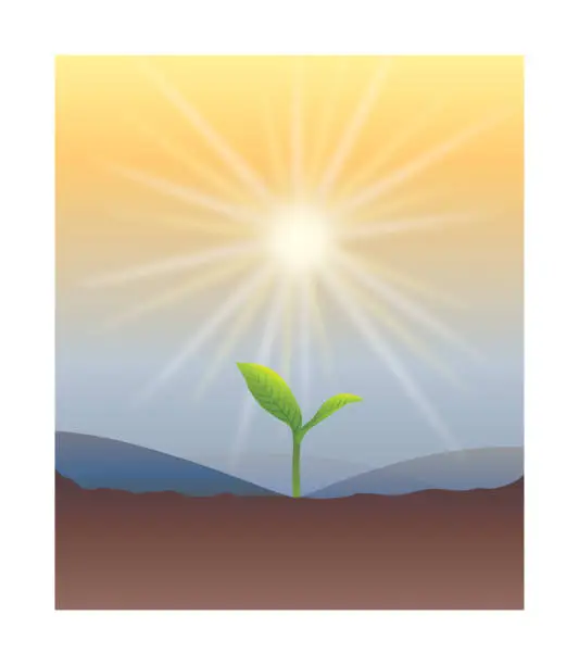 Vector illustration of sunlight and tiny sapling