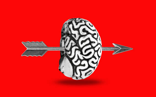 istock Feathered arrow penetrated through a human brain 1413636905
