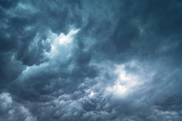 le ciel avant la pluie tempête sur arbre - sky tree photos et images de collection