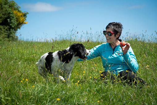 Woman with grey hair and wearing sunglasses playing with a spaniel dog in a wild flower meadow. There is blue sky in the background. The woman is holding a ball in her hand.