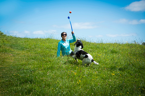 Woman with grey hair and wearing sunglasses playing with a spaniel dog in a wild flower meadow. There is blue sky in the background. The woman is holding a ball in her hand.