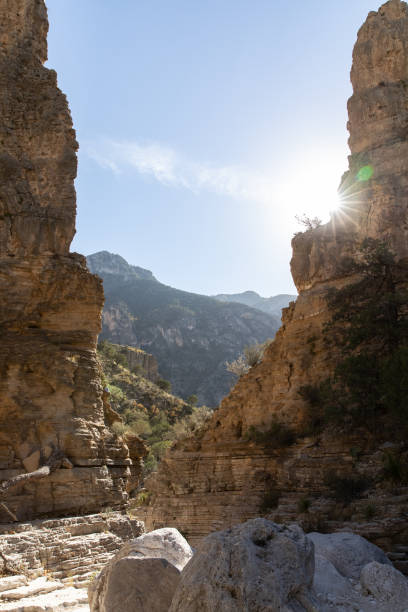 Guadalupe Mountains National ParkGuadalupe Mountains National Park