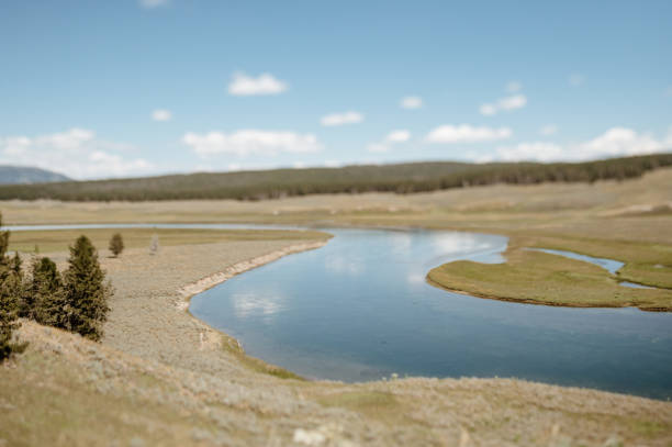 Hayden Valley in Yellowstone National Park in Yellowstone National Park, Wyoming, United States