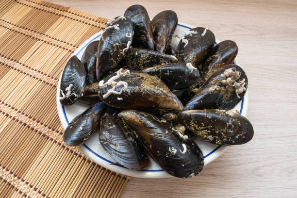 istock fresh raw mussels on a plate 1413644140