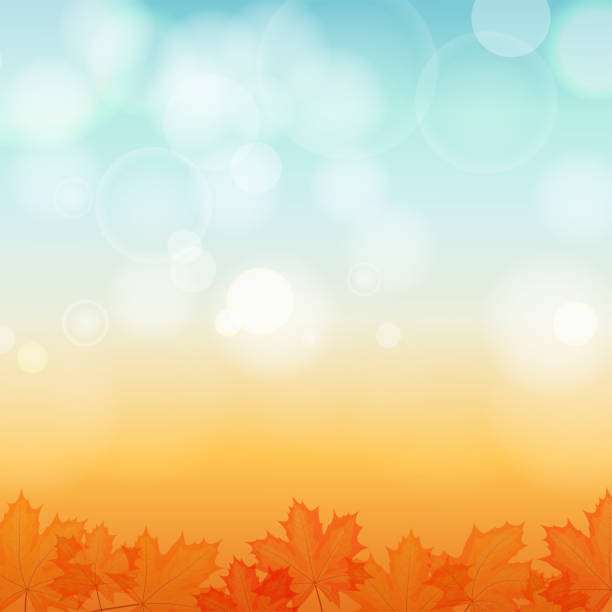 illustrazioni stock, clip art, cartoni animati e icone di tendenza di sfondo autunnale soleggiato con foglie e riflessi - autunno
