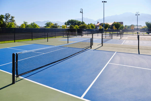 istock Pickleball Court in a Public Park 1413647942