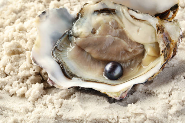 istock Open oyster with black pearl on sand, closeup 1413648264
